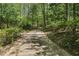 Long driveway surrounded by lush greenery and mature trees at 5251 Powers Ferry Rd, Atlanta, GA 30327