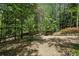 Long driveway on a hillside and surrounded by dense trees and greenery at 5251 Powers Ferry Rd, Atlanta, GA 30327