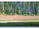 Landscaped backyard with wooded view at 1624 Ruskin Way, Marietta, GA 30062