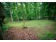 Backyard view showing lush greenery and mature trees creating a serene and private outdoor space at 4190 Heather Way, Cumming, GA 30041