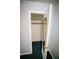 Standard closet with a clothing rod, carpet and a door with a mirror at 4190 Heather Way, Cumming, GA 30041