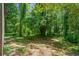 A secluded backyard with lush, mature trees providing ample privacy at 2133 Trailwood Rd, Decatur, GA 30032