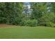 Expansive backyard with lush green grass and mature trees at 6240 Vista Crossing Way, Cumming, GA 30028