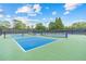 Community pickleball courts for residents to enjoy games outdoors at 2510 Wood Creek Ct, Dacula, GA 30019