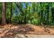 Lush backyard featuring mature trees offering privacy and a natural setting at 3470 River Mill Ln, Ellenwood, GA 30294