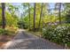 Long, paved driveway lined with trees and flowering bushes leads to a charming home at 6990 Brandon Mill Nw Rd, Atlanta, GA 30328