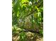 Landscaped exterior featuring fruit trees and stone accents, adding natural beauty to the property at 5780 Punkintown Rd, Douglasville, GA 30135