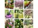 Collection of garden views showcasing well-maintained landscaping and a variety of colorful plants and flowers at 3032 Ross Rd, Snellville, GA 30039