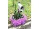 Charming mailbox surrounded by colorful flowering plants at 3032 Ross Rd, Snellville, GA 30039