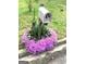 Charming front yard with a mailbox surrounded by a vibrant display of purple flowers at 3032 Ross Rd, Snellville, GA 30039