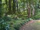 Expansive backyard featuring a dense tree line, providing ample shade and privacy at 224 Sourwood Dr, Marietta, GA 30062