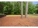 Backyard with trees and pine straw ground cover has privacy fence along back of property at 5312 Tormeal Trce, Suwanee, GA 30024
