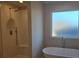 Bright bathroom showcasing a walk-in shower and soaking tub next to a frosted window at 246 Crabapple Rd, Mcdonough, GA 30253