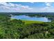 Scenic aerial view of a beautiful lake surrounded by lush greenery and clear blue skies at 6026 Belle Meade Ct, Villa Rica, GA 30180