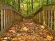 Charming wooden bridge covered with fall leaves on a scenic path at 6026 Belle Meade Ct, Villa Rica, GA 30180