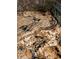 Close-up of a countertop with a unique granite pattern featuring tan, brown, and black hues at 6210 Douglas Manor Ct, Douglasville, GA 30134