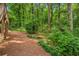 Peaceful backyard with mature trees and natural surroundings, offering a serene environment at 2696 Chancellor Way, Duluth, GA 30096