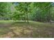 Secluded backyard with mature trees, providing a private and peaceful outdoor setting at 25 Pebble Creek Dr, Covington, GA 30016