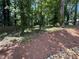 Serene backyard featuring lush trees, a wooded area, and a natural rock border, creating a tranquil outdoor space at 3240 Columbia Oaks Way, Decatur, GA 30032