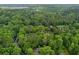 Aerial view of a brick home nestled amongst the trees, on a wooded lot near a lake at 630 Buttercup Trce, Johns Creek, GA 30022