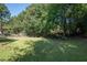 Expansive backyard with lush green grass and mature trees at 10074 Tara Glynn Dr, Hampton, GA 30228