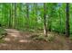 Tranquil wooded grounds with walking paths and natural landscaping create a serene and private setting at 312 Crabapple Springs Way, Woodstock, GA 30188