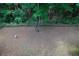 Backyard area with a wooded area and privacy fence at 541 Lantern Wood Dr, Scottdale, GA 30079