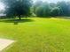 Wide backyard with green grass, trees, and natural landscape features at 35 Creek Bend Trl, Oxford, GA 30054