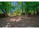A spacious backyard with mature trees and foliage at 6509 Charter Way, Lithonia, GA 30058