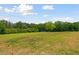 A expansive backyard presents a beautiful landscape with trees at 1423 Hillcrest Rd, Bowdon, GA 30108