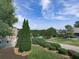 Scenic neighborhood view, featuring mature trees, well-manicured lawns, and beautifully landscaped yards at 106 Twilight Overlook, Canton, GA 30114