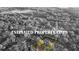 Aerial view of a luxury home and manicured lawn with property lines overplayed on the image at 248 Montrose Dr, Mcdonough, GA 30253