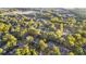 Scenic aerial view of the neighborhood with lush greenery and tree-lined streets at 248 Montrose Dr, Mcdonough, GA 30253
