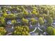 Aerial view of a residential neighborhood filled with lush trees and well-maintained homes on a sunny day at 248 Montrose Dr, Mcdonough, GA 30253