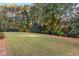 Grassy backyard with lush greenery, offering ample space and privacy at 248 Montrose Dr, Mcdonough, GA 30253
