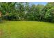 Expansive backyard featuring lush green grass and mature trees, offering privacy at 2521 Whites Mill Ln, Decatur, GA 30032