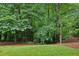 Picturesque backyard featuring a lush lawn and mature trees, offering a serene escape at 1036 Grant Park Rd, Decatur, GA 30033