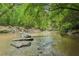 Tranquil community creek with natural stepping stones surrounded by a dense forest at 1036 Grant Park Rd, Decatur, GA 30033