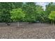 Community dog park featuring a fenced area with equipment and mature trees at 1036 Grant Park Rd, Decatur, GA 30033