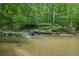 Scenic view of a river flowing through a lush green forest at 1036 Grant Park Rd, Decatur, GA 30033