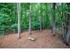 Wooded backyard with mature trees and wooden bench, creating a peaceful outdoor space at 23 Timberlake Pointe Ne, Cartersville, GA 30121