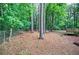 Wooded backyard with mature trees, bench, and swing set, offering outdoor enjoyment at 23 Timberlake Pointe Ne, Cartersville, GA 30121