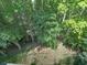 Lush green backyard featuring mature trees and natural landscaping, seen from an elevated view at 5039 Towne Lake Hills North, Woodstock, GA 30189