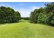 Scenic view of a green golf course with trees in the background under a blue sky, perfect for golfing enthusiasts at 5860 Fairway View Dr, Suwanee, GA 30024