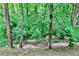 Backyard view of a verdant, wooded area provides a serene and private natural setting at 2786 Overlook Ne Dr, Atlanta, GA 30345