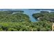 Captivating aerial perspective features a lakefront property embraced by vibrant green trees and a picturesque lake at 7875 Robin Rd, Cumming, GA 30041