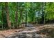 Long paved driveway leading to a secluded property surrounded by lush trees and natural beauty at 7875 Robin Rd, Cumming, GA 30041