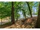 Wooded view to lake with dock and waterfront scenery at 7875 Robin Rd, Cumming, GA 30041