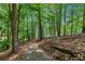 Scenic wooded path leading toward the water, showcasing a natural landscape at 7875 Robin Rd, Cumming, GA 30041