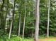 Backyard featuring tall trees and a hammock inviting relaxation in a private outdoor setting at 170 Beatrice St, Dallas, GA 30157